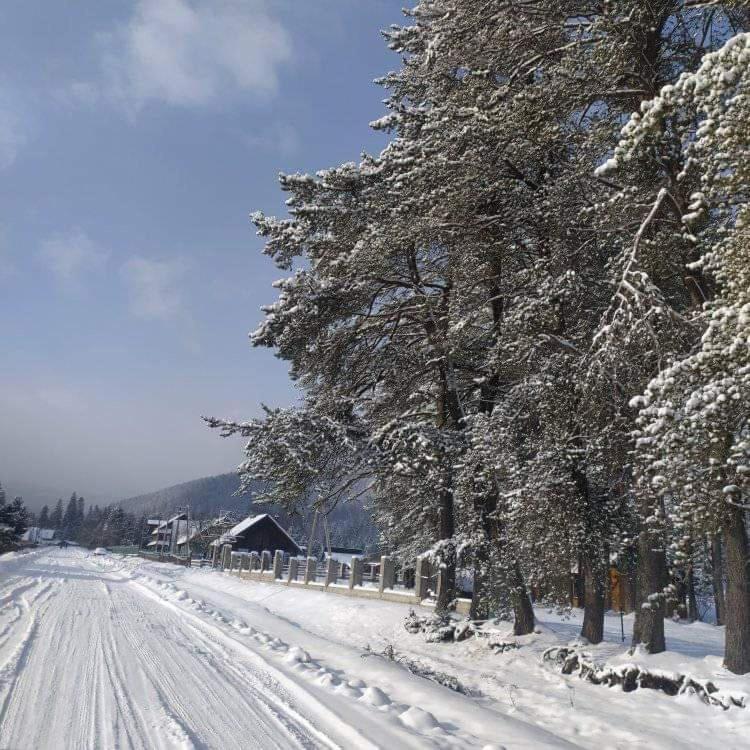Говерлянка Vorokhta Exterior foto