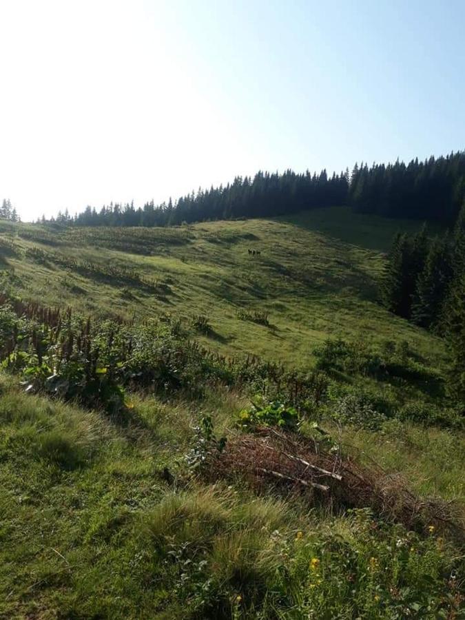 Говерлянка Vorokhta Exterior foto