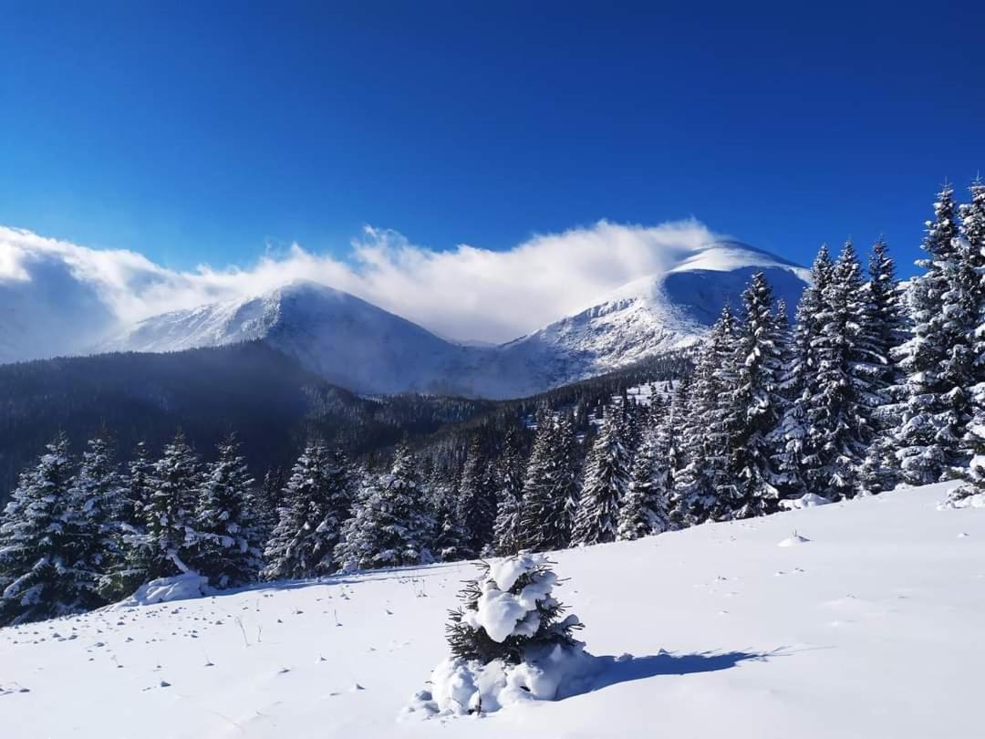 Говерлянка Vorokhta Exterior foto
