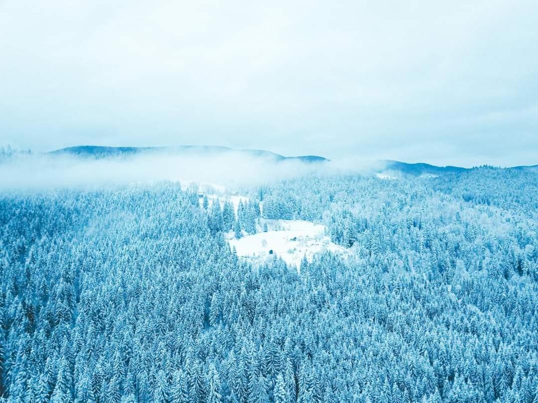 Говерлянка Vorokhta Exterior foto