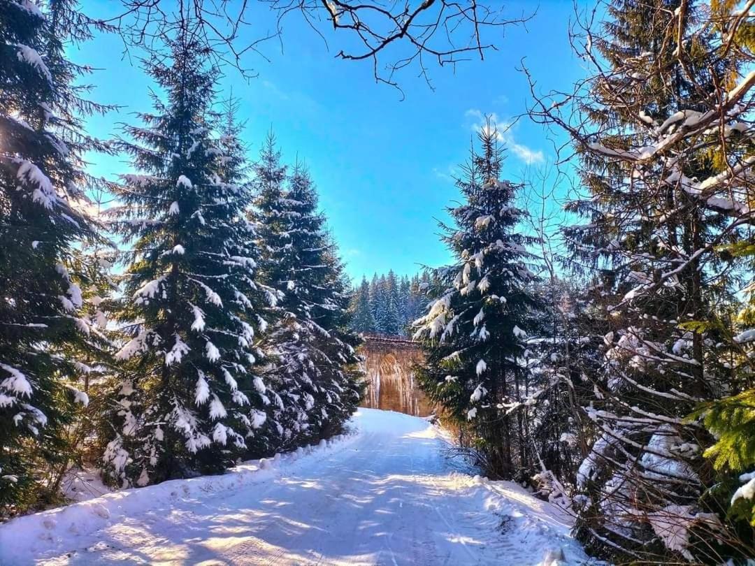 Говерлянка Vorokhta Exterior foto